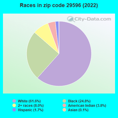 Races in zip code 29596 (2022)