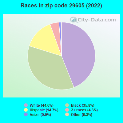 Races in zip code 29605 (2022)