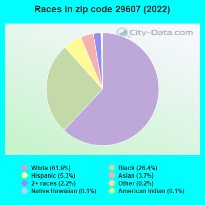 Races in zip code 29607 (2022)