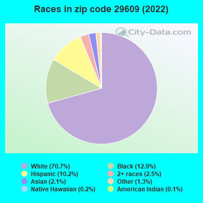 Races in zip code 29609 (2022)