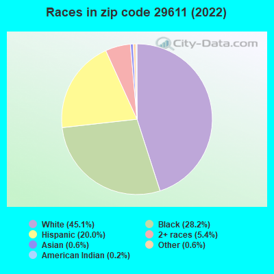 Races in zip code 29611 (2022)