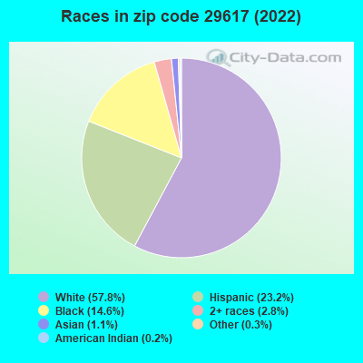 Races in zip code 29617 (2022)