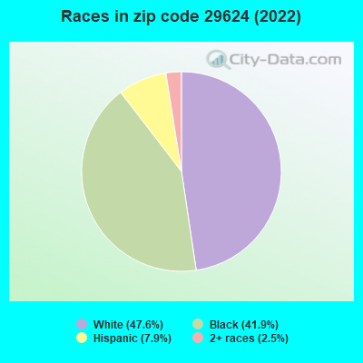 Races in zip code 29624 (2022)