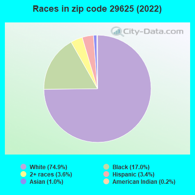 Races in zip code 29625 (2022)