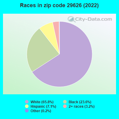 Races in zip code 29626 (2022)