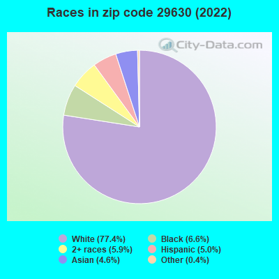 Races in zip code 29630 (2022)