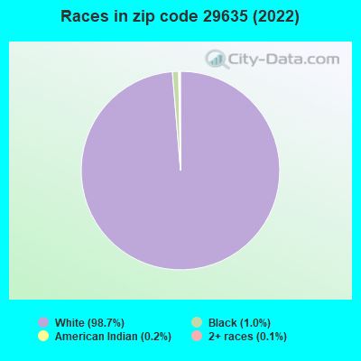 Races in zip code 29635 (2022)