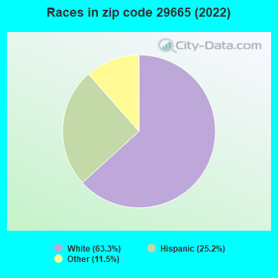 Races in zip code 29665 (2022)