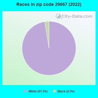 Races in zip code 29667 (2022)