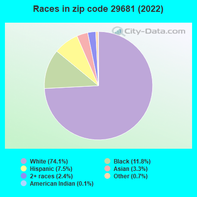 Races in zip code 29681 (2022)