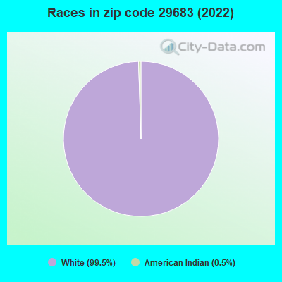Races in zip code 29683 (2022)