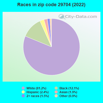 Races in zip code 29704 (2022)