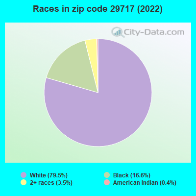 Races in zip code 29717 (2022)