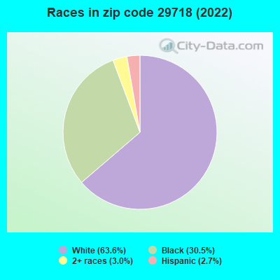 Races in zip code 29718 (2022)