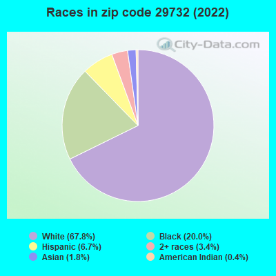 Races in zip code 29732 (2022)