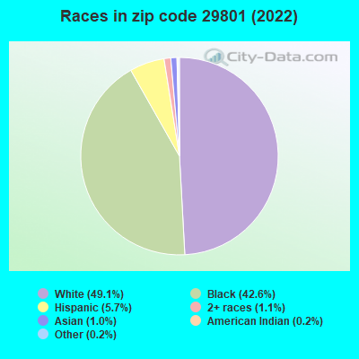 Races in zip code 29801 (2022)