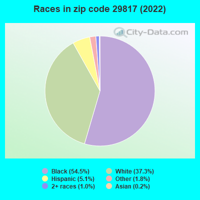 Races in zip code 29817 (2022)