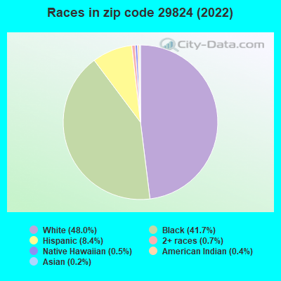 Races in zip code 29824 (2022)