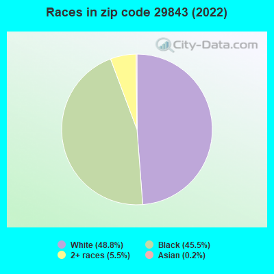 Races in zip code 29843 (2022)