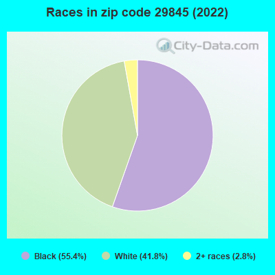 Races in zip code 29845 (2022)