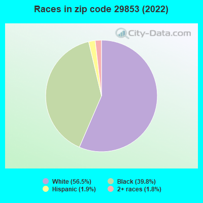 Races in zip code 29853 (2022)