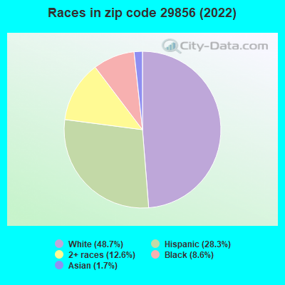 Races in zip code 29856 (2022)