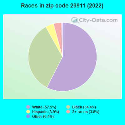 Races in zip code 29911 (2022)
