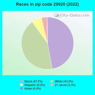 Races in zip code 29920 (2022)