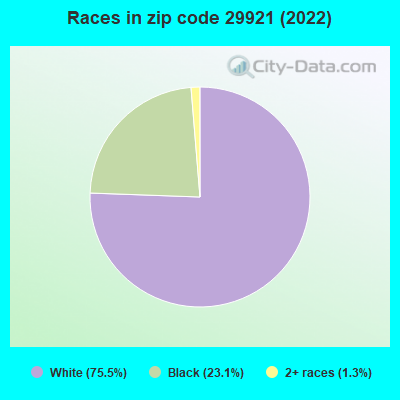 Races in zip code 29921 (2022)