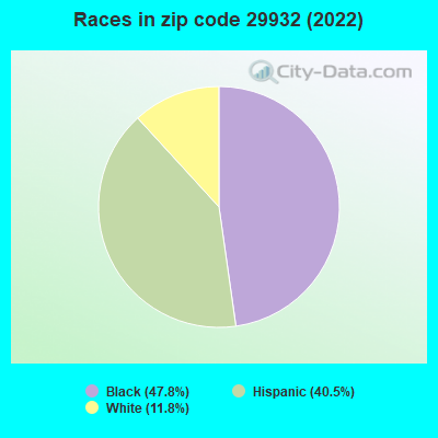 Races in zip code 29932 (2022)