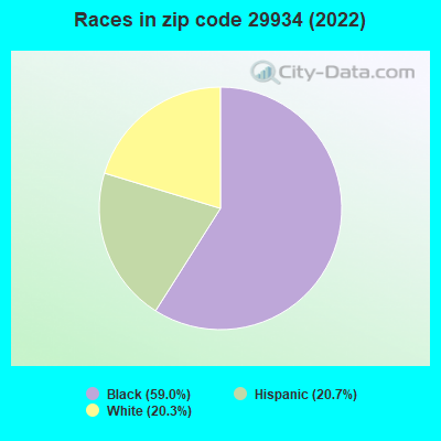 Races in zip code 29934 (2022)
