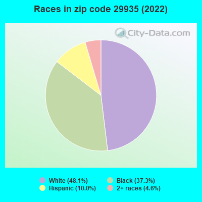 Races in zip code 29935 (2022)