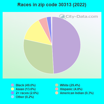 Races in zip code 30313 (2019)