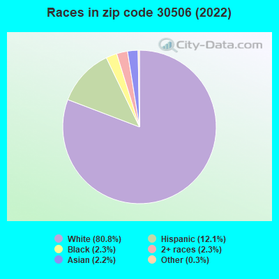 Races in zip code 30506 (2022)