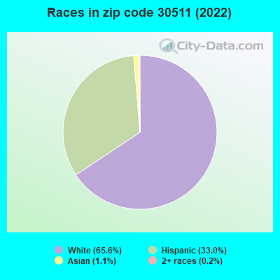 Races in zip code 30511 (2022)