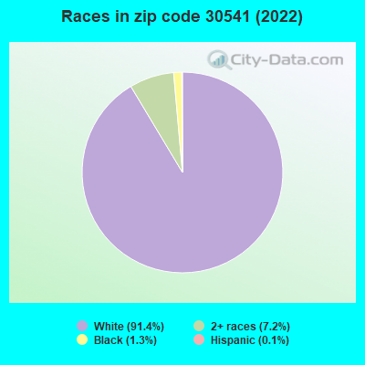 Races in zip code 30541 (2022)