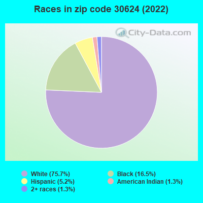 Races in zip code 30624 (2022)