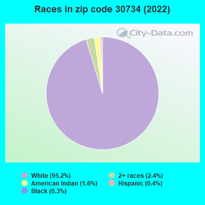 Races in zip code 30734 (2022)
