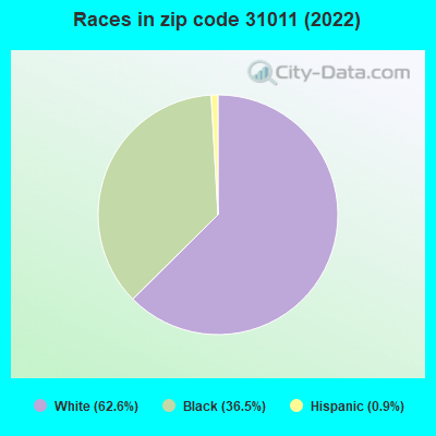 Races in zip code 31011 (2022)