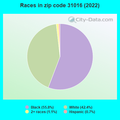 Races in zip code 31016 (2022)