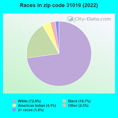 Races in zip code 31019 (2022)