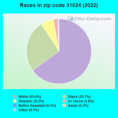 Races in zip code 31024 (2022)