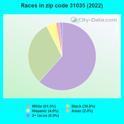 Races in zip code 31035 (2022)