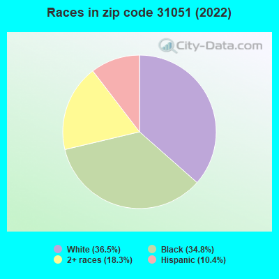 Races in zip code 31051 (2022)