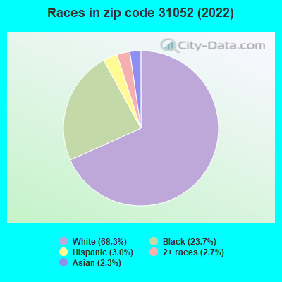 Races in zip code 31052 (2022)