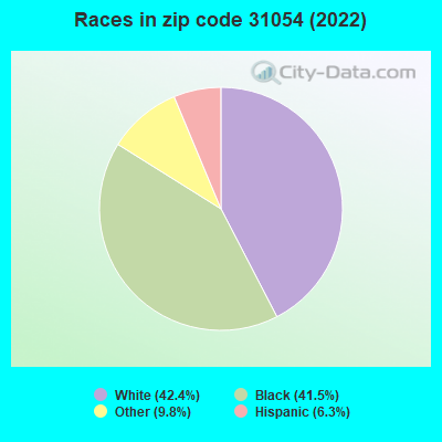 Races in zip code 31054 (2022)