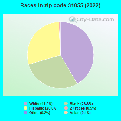 Races in zip code 31055 (2022)