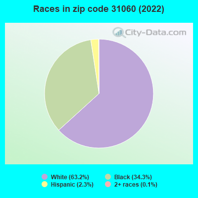 Races in zip code 31060 (2022)
