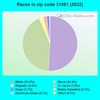 Races in zip code 31061 (2022)