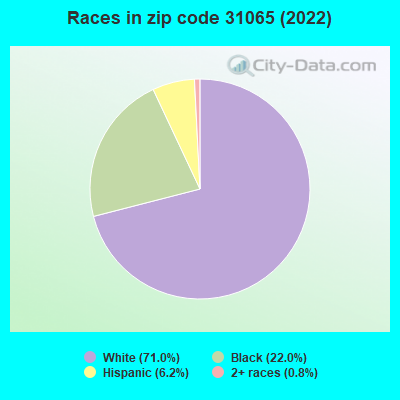 Races in zip code 31065 (2022)